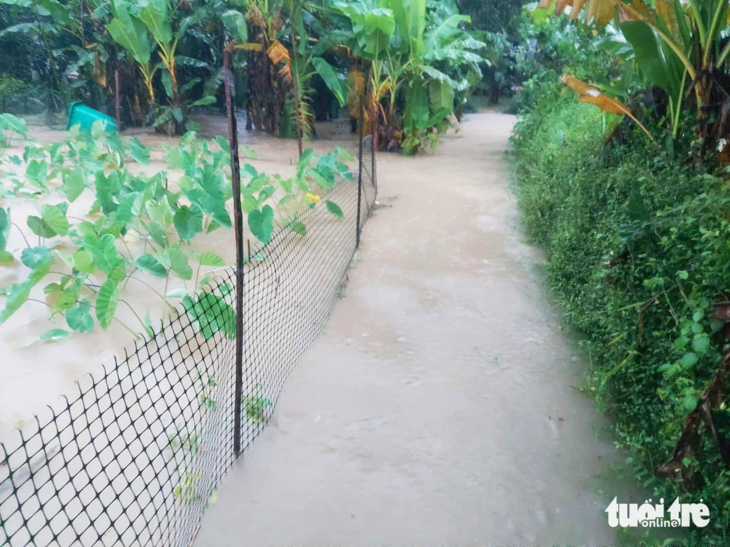 秋盆河洪水部分地区超警戒水位3级,岘港今日继续大雨